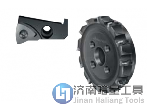 正品瓦尔特刀具F2010.B.100.Z07.02.R729M数控面铣刀盘
