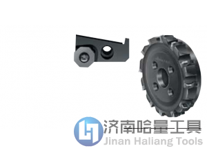 德国原装铣刀盘 F2010.B.100.Z07.02.R681M 瓦尔特刀具