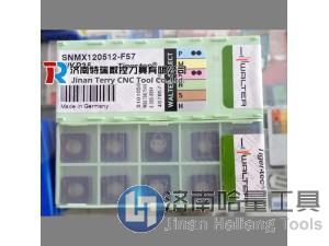 特价批发德国瓦尔特刀片 SNMX120512-D27 WKK25S 铣刀片