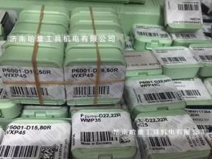 全新瓦尔特钻孔刀片 P6003-D23,00R WMP35 可转位刀片